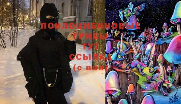 прущий лед Абаза