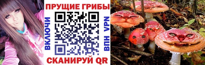 Галлюциногенные грибы мицелий сколько стоит hydra зеркало Зерноград