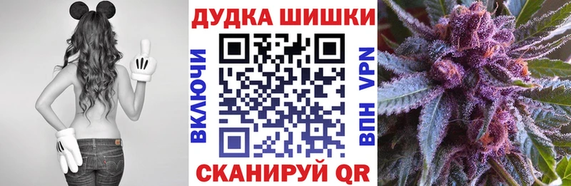 где купить наркотик  Зерноград  МАРИХУАНА сатива 